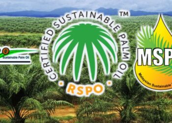 Memahami Perbedaan ISPO dan RSPO Kelapa Sawit