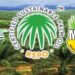 Memahami Perbedaan ISPO dan RSPO Kelapa Sawit