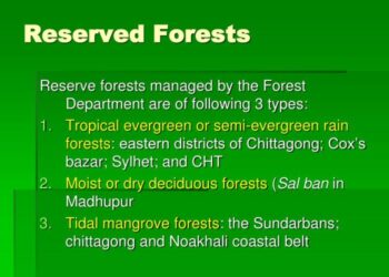 Pengertian, Jenis, Hutan Konservasi Serta Fungsinya