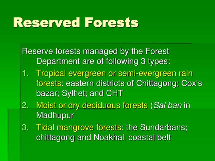 Pengertian, Jenis, Hutan Konservasi Serta Fungsinya