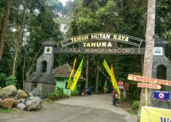 Taman Hutan Raya (Tahura), pengertian dan Manfaat