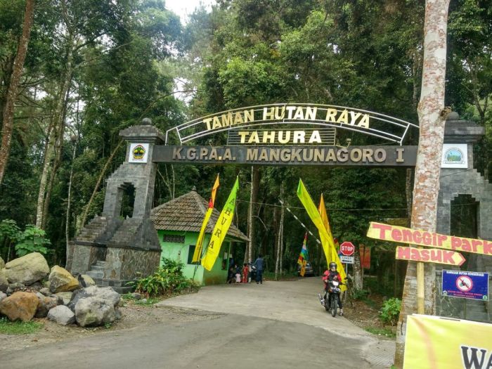 Taman Hutan Raya (Tahura), pengertian dan Manfaat