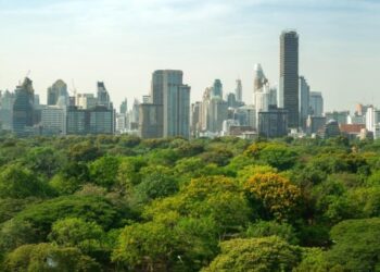 Pengertian Hutan Kota, Apa Manfaatnya untuk Sekitar?