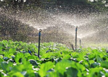 Sistem Irigasi di Indonesia