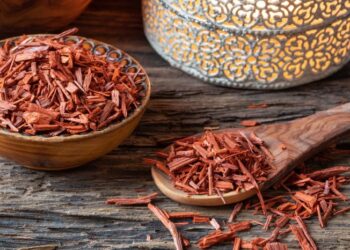 Pohon Cendana: Ciri-ciri, Cara Menanam dan Manfaat