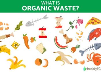 Mengenal Apa Itu Limbah Lunak Organik (Limbah Basah)