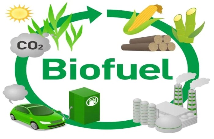 Mengenal Biofuel: Sumber Energi Ramah Lingkungan