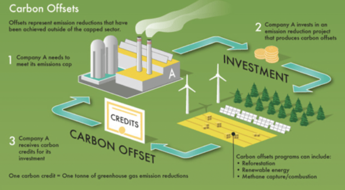 Apa Itu Carbon Offset (Tebus Karbon)? Skema, Tren, kegunaan