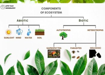 Ekosistem Adalah: Pengertian Menurut Ahli, Komponen