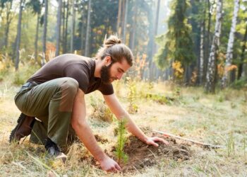 Manfaat reboisasi dan penghijauan untuk manusia dan alam