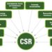 Rumus CSR dan Indikator Keberhasilan