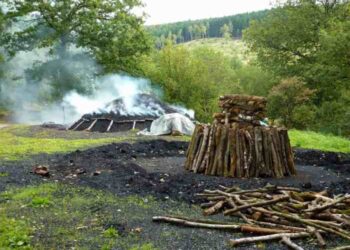Pengertian Eksploitasi, Jenis dan Dampak Eksploitasi Hutan