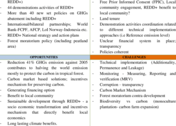 Apa Itu REDD+? Konsep dan Implementasinya di Indonesia
