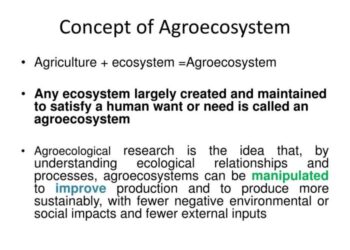 AGROEKOSISTEM: Pengertian, Komponen, Contoh