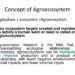 AGROEKOSISTEM: Pengertian, Komponen, Contoh