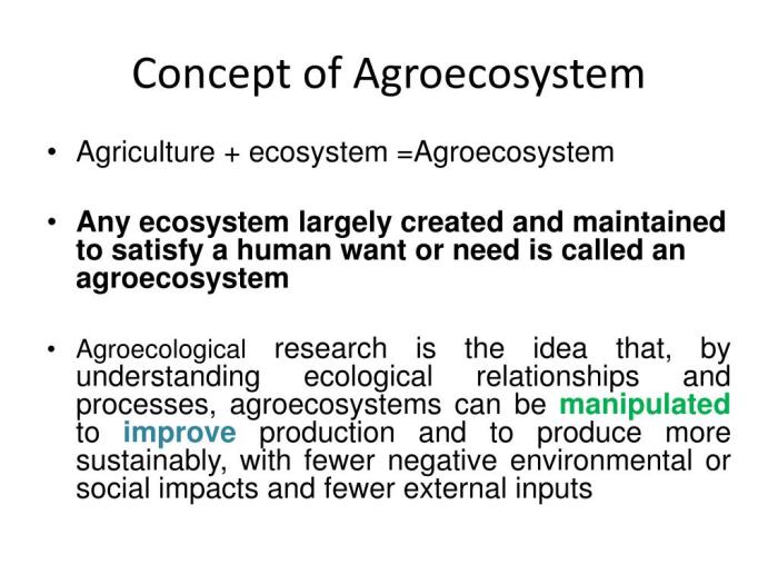 AGROEKOSISTEM: Pengertian, Komponen, Contoh