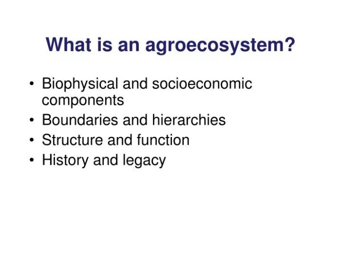 AGROEKOSISTEM: Pengertian, Komponen, Contoh