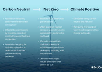 Carbon Offset: Solusi Tebus Emisi Karbon Berdampak Positif