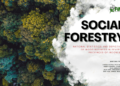 Hutan Sosial: Pengertian, Peraturan, Skema dan Manfaatnya