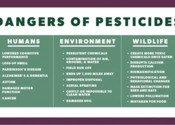 Mengenal Pestisida: Pengertian, Jenis dan Bahayanya