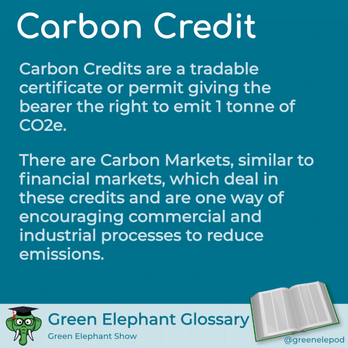 Carbon Credit: Pengertian, Mekanisme, Contoh