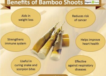 Pengertian, Ciri-ciri dan Manfaat Bambu