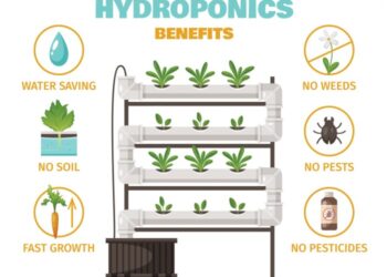 Apa Itu Hidroponik? Jenis-Jenis hingga Kelebihannya