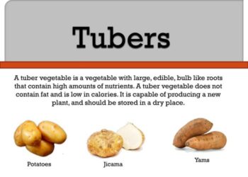 10 Manfaat Umbi-Umbian Berdasarkan Jenisnya