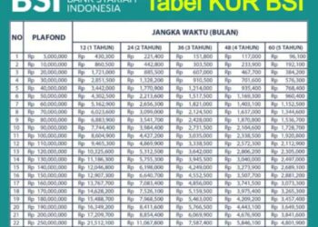 Pinjaman online bsi langsung cair terbaru 2025
