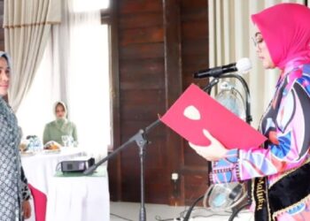 Apa Itu Balok Kastella?