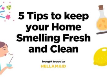 Tips agar rumah selalu wangi, hindari 9 kebiasaan ini