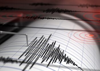 Gempa M 6,6 Guncang Nabire, Papua Tengah