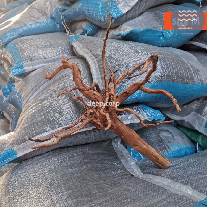 Mengenal Kayu Rasamala dan Keunggulannya