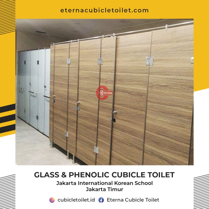 Jenis-Jenis Cubicle Toilet Dan Keunggulannya